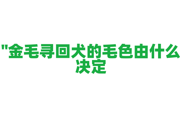 "金毛寻回犬的毛色由什么决定？"